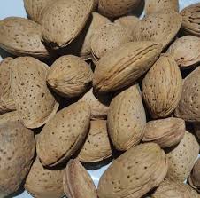 ALMENDRA CON CASCARA A GRANEL